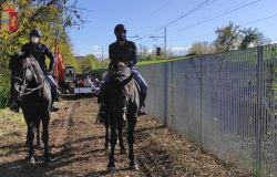 Bonifica del territorio, la polizia sgombera l'area verde del parco delle valli