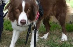 Piper ancora a segno alle Cascine