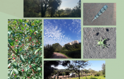 #naturapomezia... le bellezze del territorio viste dai vostri occhi