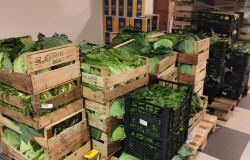 Fiumicino, frutta e verdura da Guidonia nei pacchi alimentari
