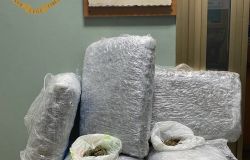 Frascati, nel casale nascondeva 26 kg. di marjuana, in manette albanese