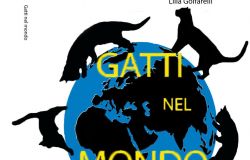 Gatti nel mondo di Giuseppe Enrico Toccafondi