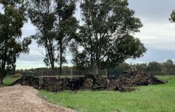 Ostia Antica, cittadini in allarme per una nuova antenna di telefonia mobile