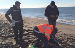 Fregene, la spiaggia diventa una discarica dopo le mareggiate