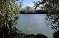 Tevere, da Fiumicino, tanti progetti per la sua tutela e valorizzazione
