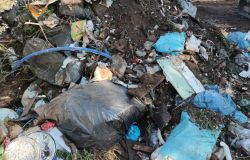 Ostia, bonificata viale del Lido di Castelporziano, la strada che attraversa la pineta