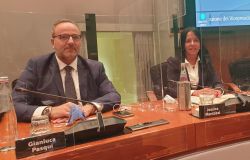 Jessica Marcozzi, Capogruppo Regionale (FI)