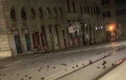 La LAV sollecita il Campidoglio per l'ordinanza anti-botti