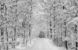 Neve in Garfagnana e nel pistoiese, Monni: “Monitoriamo la situazione. In contatto con Enel per risolvere i problemi di fornitura elettrica”