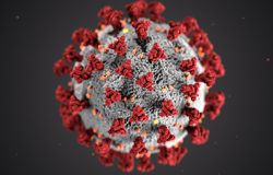 Coronavirus: 355 nuovi casi, 10 decessi