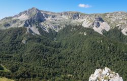 valle leonina