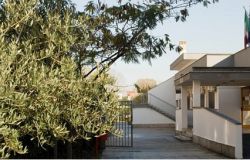 Liceo Anco Marzio: a scuola sì...ma non così