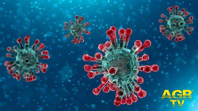 La ricerca Italiana sul COVID -19 va avanti. Il farmaco LANTIGEN B riduce la possibilità di infezione da SARS-COV-2