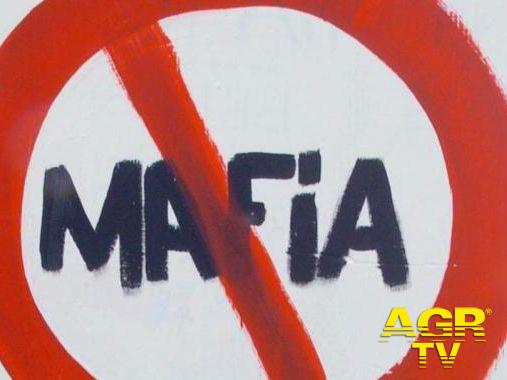 No mafia