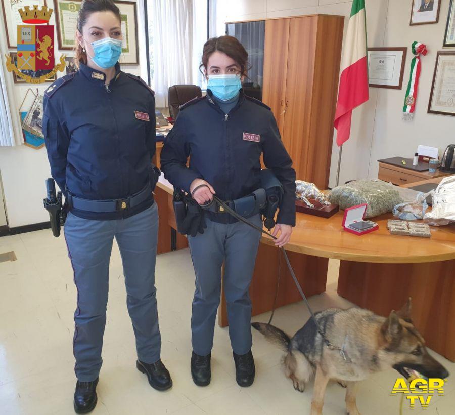 I cani individuano centrale di spaccio in un appartamento, arrestato 47enne e sequestrata 1kg e mezzo di droga I cani individuano centrale di spaccio in un appartamento, arrestato 47enne e sequestrata 1kg e mezzo di droga