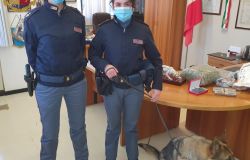 I cani individuano centrale di spaccio in un appartamento, arrestato 47enne e sequestrata 1kg e mezzo di droga