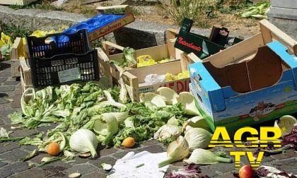 Ostia, mercato via Desiderato Pietri, allarme degrado Ostia, mercato via Desiderato Pietri, allarme degrado