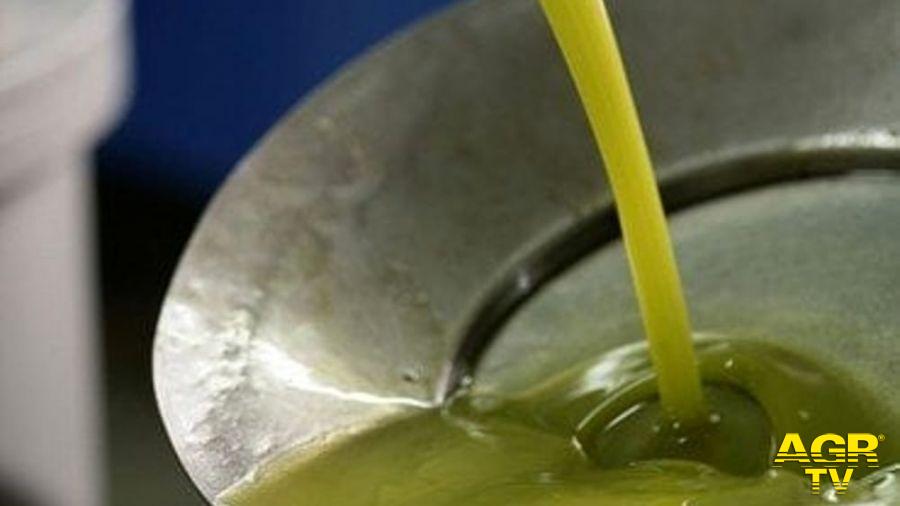 l’olio toscano diventa prodotto protetto in Giappone l’olio toscano diventa prodotto protetto in Giappone