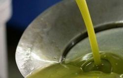 Agroalimentare, l’olio toscano EVO diventa prodotto protetto in Giappone