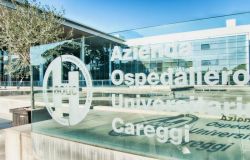 Careggi aderisce alla giornata internazionale dell’Epilessia promossa in Italia da Fondazione Lega Italiana Contro l'Epilessia (LICE) Onlus