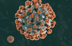Coronavirus, 523 nuovi casi positivi, età media 45 anni, 15 decessi