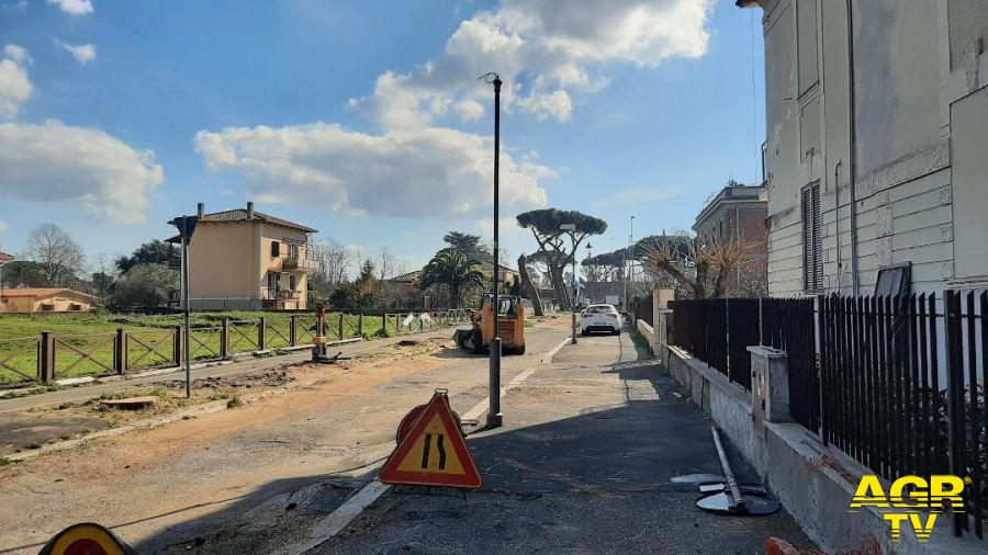 Ostia Antica, sacrificati i pini per la pedonalizzazione, è scontro politico per il taglio di 14 alberature Ostia Antica, sacrificati i pini per la pedonalizzazione, è scontro politico per il taglio di 14 alberature