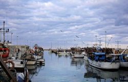 Fiumicino, marinerie mobilitate contro il piano UE che prevede la limitazione della pesca a strascico