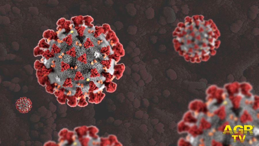 Coronavirus: 824 nuovi casi