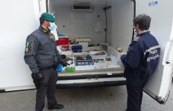 Guardia di Finanza di Prato e Polizia Municipale di Prato: controlli in materia di commercio abusivo. Sequestrati oltre 110 Kg di pesce