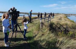 Saline di Tarquinia, l'erosione avanza, balneari e imprese turistiche: no alla scogliera di protezione