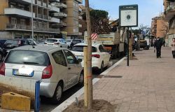 Verde pubblico, strumento per il rilancio e la valorizzazione di Ostia