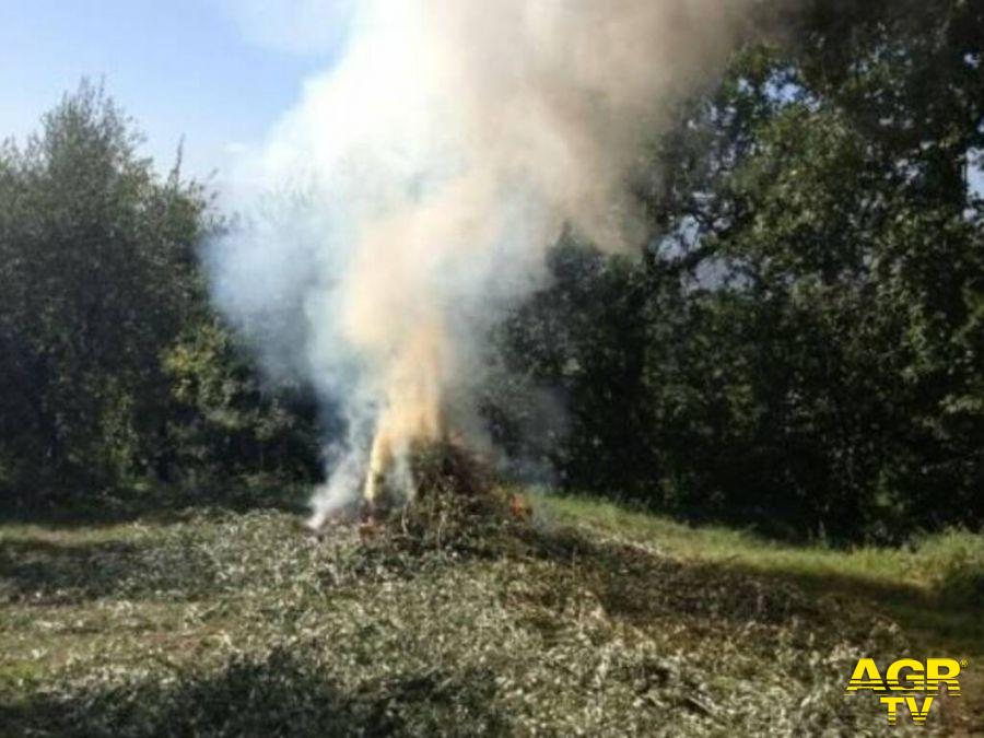 Incendi, da sabato 20 fino al 31 marzo divieto assoluto di abbruciamenti