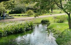 Latina, la Lipu contraria alla riattivazione dell'inceneritore vicino al Giardino di Ninfa