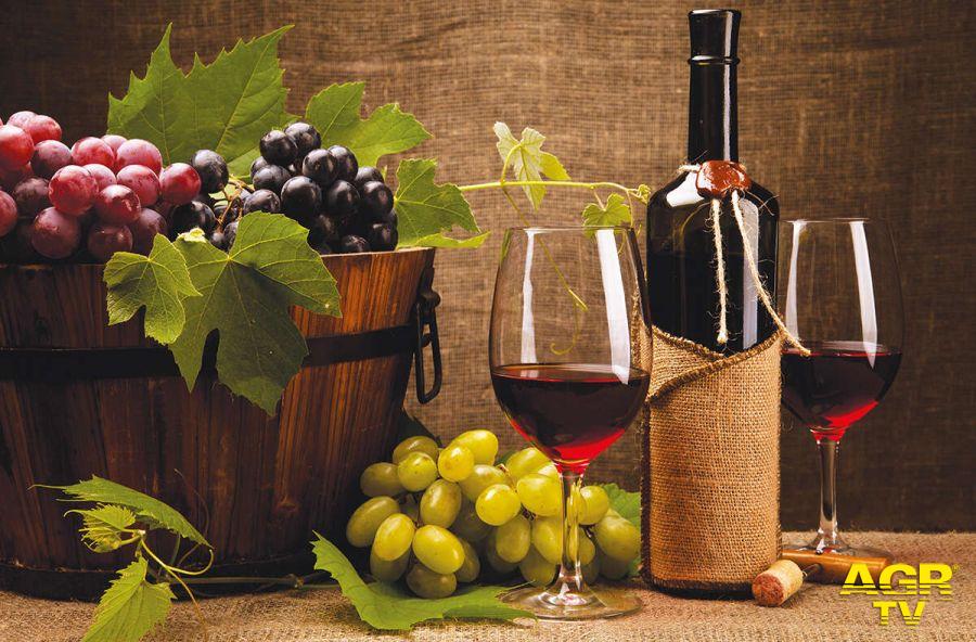 Promozione del vino sui mercati dei Paesi terzi