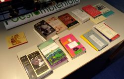 Giornata Internazionale della poesia, alla biblioteca del Quarticciolo uno scaffale dedicato alla poesia dell'ambiente