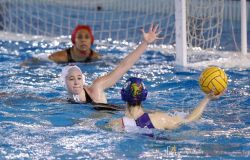 Lifebrain Sis Roma si inceppa con il Padova, la corsa scudetto ora è più difficile