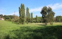 Via Veientana, remake dei cittadini nel parco Pace Papacci
