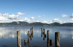 Lago Massaciuccoli, 2 mln di euro per progetti di risanamento