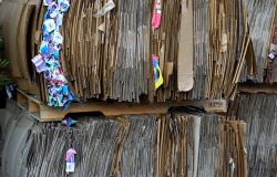 Paper week la settimana del riciclo della carta e del cartone, scuole di Roma impegnate