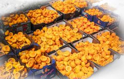 La Food Policy arriva in Consiglio comunale, presentata la proposta di delibera