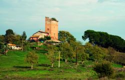 Via libera al Piano d'Assetto della Riserva della Marcigliana, obiettivo valorizzare il patrimonio ambientale, storico e culturale