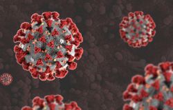 Coronavirus, 1.206 nuovi casi, età media 46 anni. I decessi sono ventisei