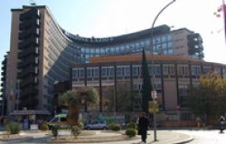 Candidatura Storace, un pericolo per il verde
