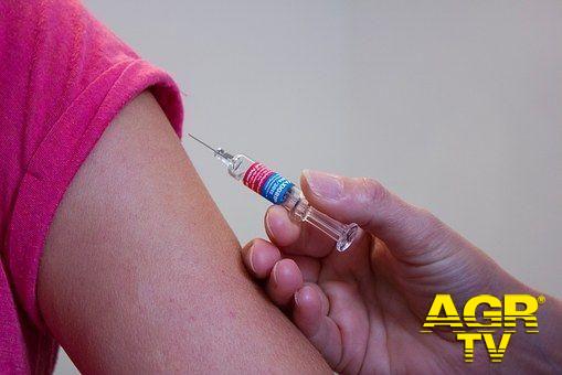 Vaccino, in consegna 11mila dosi Johnson & Johnson per over 70
