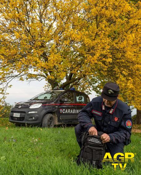 Carabinieri-Comando provinciale di Firenze Bracconieri colti sul fatto dai Carabinieri forestali a Calenzano