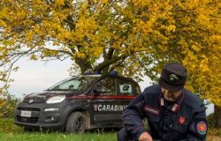 Bracconieri colti sul fatto dai Carabinieri forestali a Calenzano