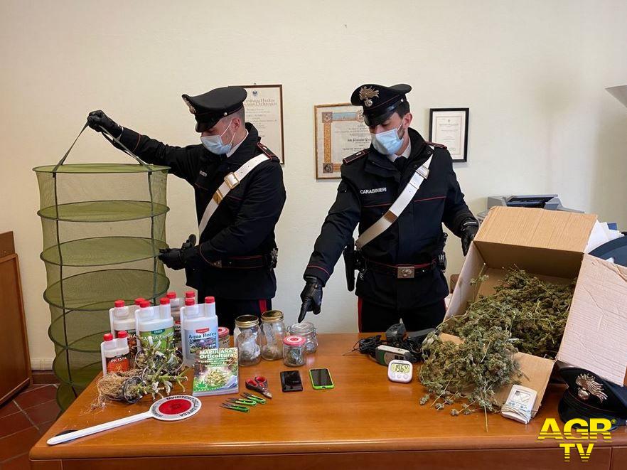 Carabinieri-Comando provinciale di Firenze Una serra per coltivare la marijuana: sequestrata a Bagno a Ripoli