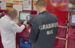 Blitz dei Nas, mense scolastiche, frode nelle forniture dei pasti, quattro arresti