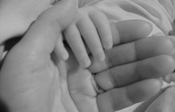 Energie per Fiumicino, taglio della Tari alle famiglie con nuove nascite