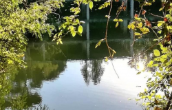 Ok Regione Lazio, Roma natura acquista un altro gioiello: il monumento naturale lago ex Snia